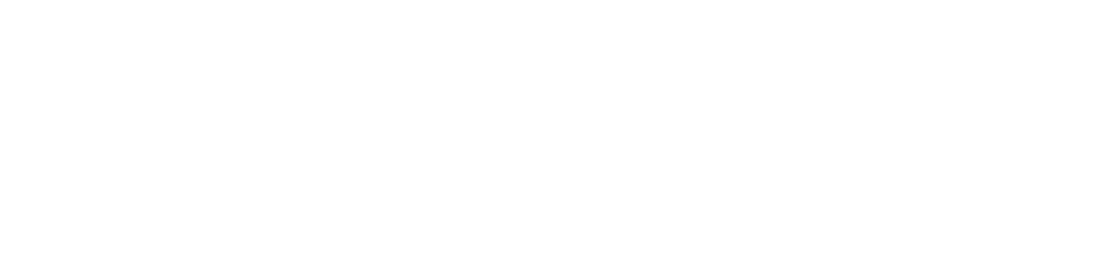 FDI Nexus - Strategic FDI Consultancy